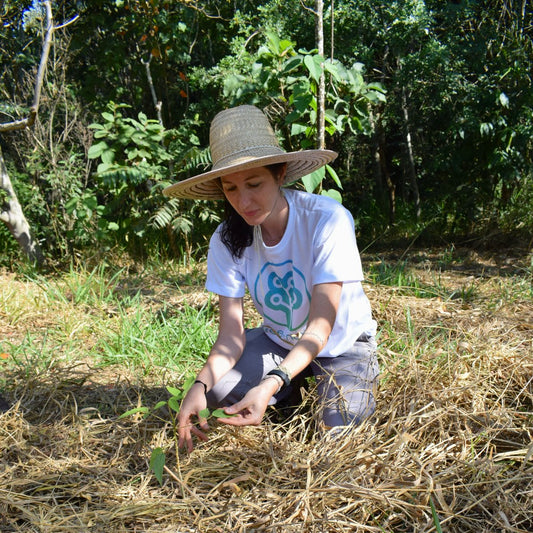 Sustainability Update